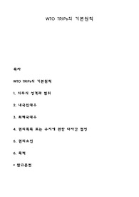 WTO TRIPs의 기본원칙