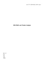 [이화여대 생명과학실험1 분반1등 A+ 레포트] SDS-PAGE and Protein Analysis