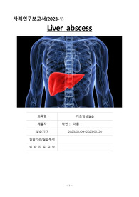 A+ 간농양 케이스스터디