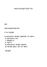 MERCOSUR(남미공동시장)