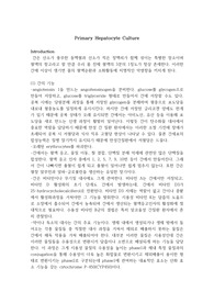 간 배양 실습레포트