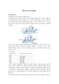 마우스 genotyping 실습레포트