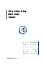 국제대학교 단정한 레포트 표지 및 목차 양식