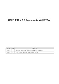 아동간호학실습 폐렴 간호진단