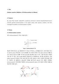 [서강대 유기화학실험 A+ 레포트] Exp4.Carbene reaction