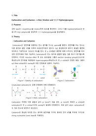 [서강대 유기화학실험 A+ 레포트] Exp10.Carbocation and Carbanion