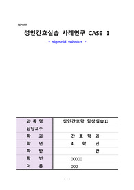 성인 간호학 장염전(장꼬임) 케이스 스터디