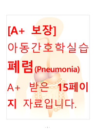 [A+ 보장]아동간호학실습 폐렴(Pneumonia) 간호과정, 간호, 간호진단, 컨퍼런스, 케이스스터디 고퀄리티 자료입니다.