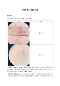 다양한 호소생물의 관찰_결과