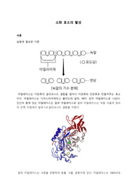 소화 효소의 활성_예비