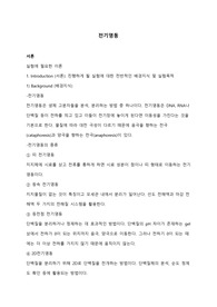 전기영동_예비