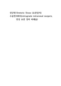 성인간호학실습 A++ 요관결석 (문헌고찰, 간호과정 3개)