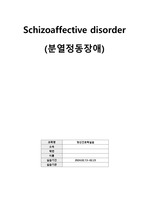 정신간호실습 분열정동장애(Schizoaffective disorder) 간호과정 케이스(진단, 과정 3개)