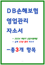 DB손해보험 자소서