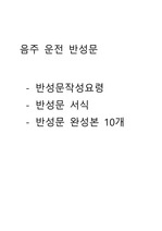 음주운전 반성문 10개 (직접작성/집행유예/주1회제출용)