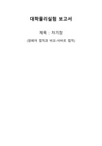 [대학물리실험2] 자기장(암페어 법칙과 비오-사바르 법칙)