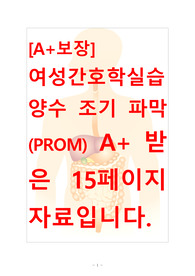 [A+]여성간호학실습 양수조기파막(PROM, premature rupture of membranes) 간호, 간호진단, 간호과정, 컨퍼런스, 케이스스터디 15페이지 자료입니다.