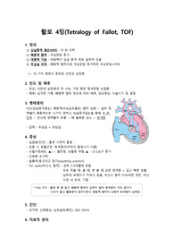 인간발달 과목 활로4징 이론적 정리