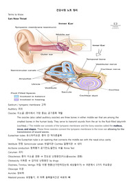 건강사정 노트 용어 정리