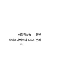 생화학 실험/실습 보고서 (박테리아에서의 DNA 분리)