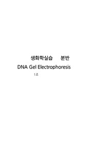 생화학 실험/실습 보고서 (DNA Gel electrophoresis)