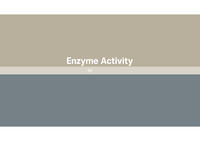 이화여대 생물화학1 A+ 과제(Enzyme Activity)