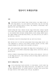 영유아기 또래상호작용