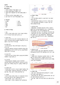 [병리학] 03 재생과 회복