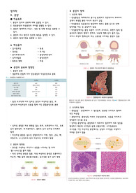 [병리학] 09 종양