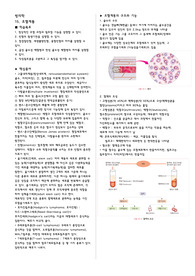 [병리학] 15 조혈계통
