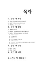 여성간호학 정상분만(eutocia) or 자연분만(NSVD) 요약