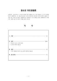 A+자료 청소년지도방법론_청소년지도 시 윤리적 원칙에 대해 설명하고 왜 그것이 필요한 지 나의 경험에 비추어 설명하시오.