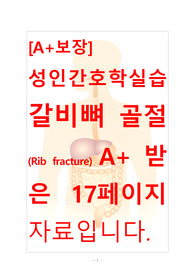 [A+보장]성인간호학실습 갈비뼈 골절(Rib fracture) 간호, 간호진단, 간호과정, 컨퍼런스, 케이스스터디 17페이지 자료입니다.