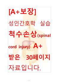 [A+보장]성인간호학 실습 척수손상(spinal cord injury) 간호, 간호진단, 간호과정, 컨퍼런스, 케이스스터디 31페이지 자료입니다.