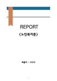 사회복지사2급 레포트과제 (노인복지론)