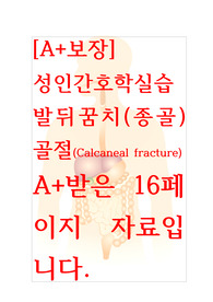 [A+보장]성인간호학실습 발뒤꿈치(종골) 골절(Calcaneal fracture) 간호, 간호진단, 간호과정, 케이스스터디, 컨퍼런스 16페이지 자료입니다.