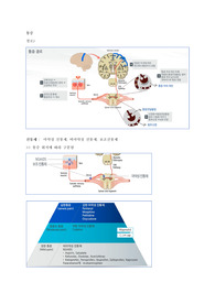 통증 조절 약물 투여 시