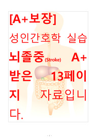 [A+보장]성인간호학실습 뇌졸중(Stroke) 간호, 간호과정, 간호진단, 컨퍼런스, 케이스스터디 13페이지 자료입니다.