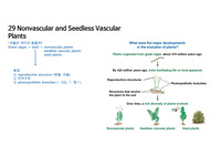 일반생물학 기말고사 정리 Nonvascular and Seedless Vascular Plants