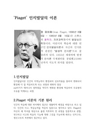 A+ 받은 교육학, 간호학 이용가능한 피아제 인지발달이론