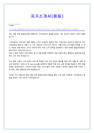 기아 품질보증 합격 자소서 (최종합격)
