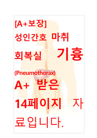 [A+보장]성인간호학실습 마취 회복실 기흉(Pneumothorax) 간호, 간호진단, 간호과정, 컨퍼런스, 케이스스터디 14페이지 자료입니다.