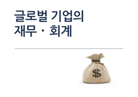 글로벌 경영의 재무회계(회계, 재무와 글로벌 재무 관리)