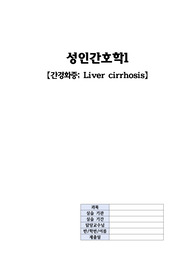 A+ 간경화(Liver cirrhosis) case study 진단3 과정2 출혈위험성, 안위변화, 피부손상위험성
