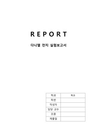 다니엘 전지 실험