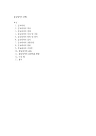 A+ [ 문화의 이해 ] 캄보디아