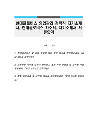 현대글로비스 영업관리 경력직 자기소개서, 현대글로비스 자소서, 자기소개서 서류합격