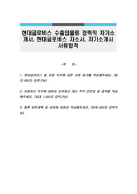 현대글로비스 수출입물류 경력직 자기소개서, 현대글로비스 자소서, 자기소개서 서류합격