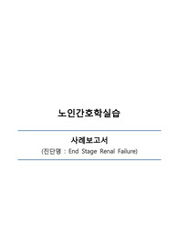 노인간호학 말기신부전 대상자 간호과정