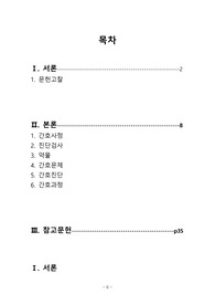 급성골수성백혈병 AML 성인간호학 간호과정, 간호진단 5, 과정 3